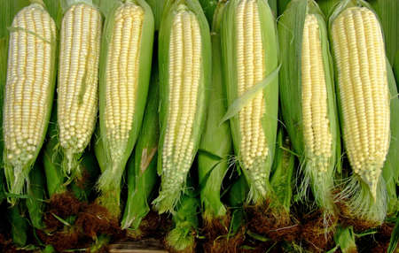 Fresh organic corn clips on a market