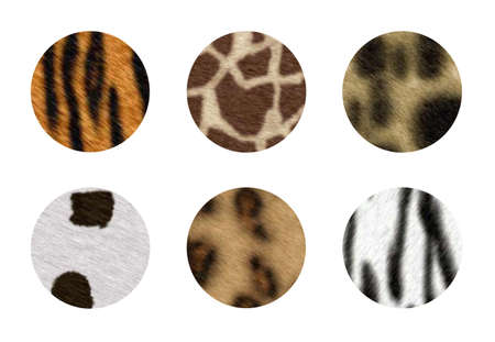 Six African wild animal skins in circle button