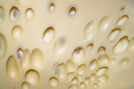 Big yellow cheese with lot of wholesの写真素材