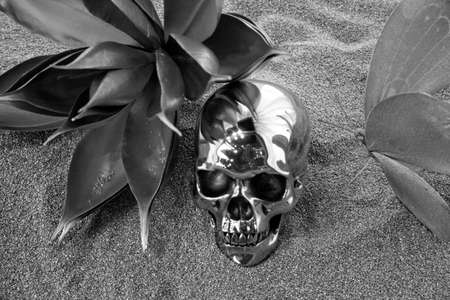 Scary silver human scull on the sand の写真素材