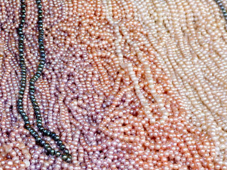 A bunch of natural shiny white pearlsの写真素材