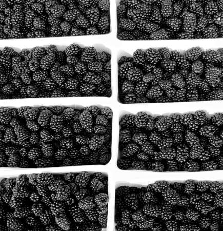 Fresh organic blackberry fruit on the marketの写真素材