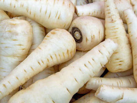 A bunch of white carrots on the marketの写真素材