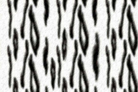 Wild zebra skin real pattern texture background