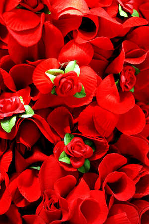 Pure red roses background with red leafsの写真素材
