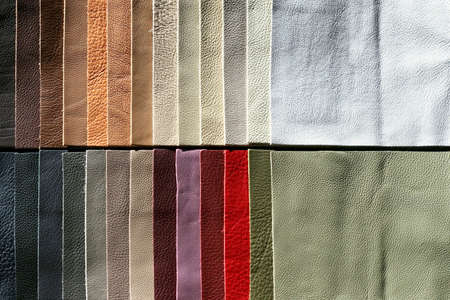 Color palette sample picker of leather material の写真素材