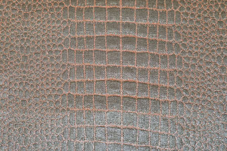 Real snake skin leather pattern textured backgroundの写真素材