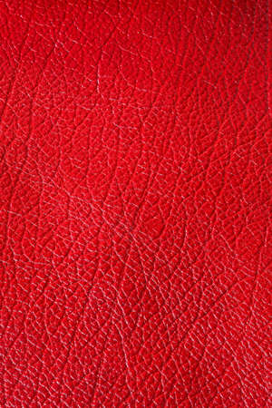 Real leather texture made from cow skinの写真素材