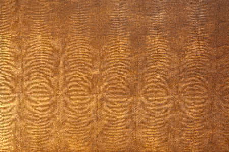 Background made from wild snake dark skin 