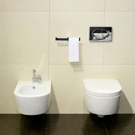 Simple lavatory with toilet and wash basin