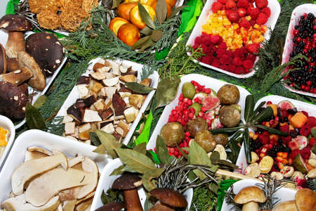 Various organic and natural fruits and mushroomsの写真素材