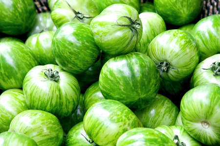 Fresh green zebra tomatoes on the marketの写真素材
