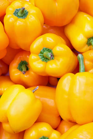 Bunch of fresh vivid yellow paprika vegetablesの写真素材