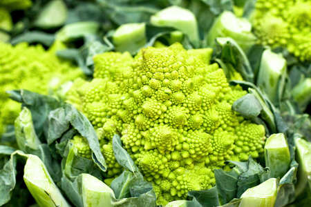 Abstract shape of green natural Romanesque vegetablesの写真素材