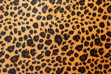 Wild African animal hide pattern brown jaguar の写真素材