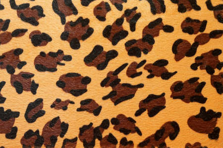 Wild African animal hide pattern yellow leopardの写真素材
