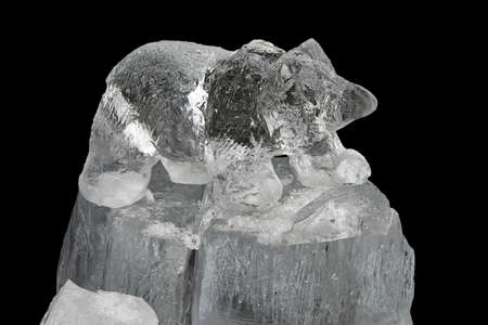 Carved small bear frozen sculpture in iceの写真素材