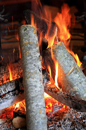 Close up shot of fireplace wood log