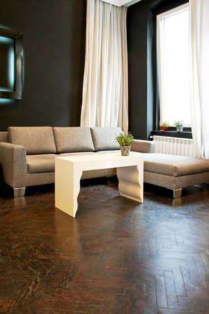 Interior shot of modern style living room