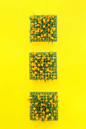 Three square flowers decoration at yellow wallの写真素材