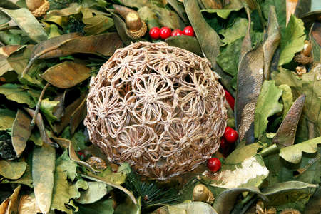 Close up shot of natural style decorationの写真素材