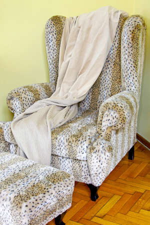 Armchair and leg rest in Safari styleの写真素材