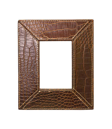 Brown alligator frameの写真素材
