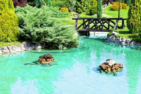 Pond with wooden bridge in green parkの写真素材