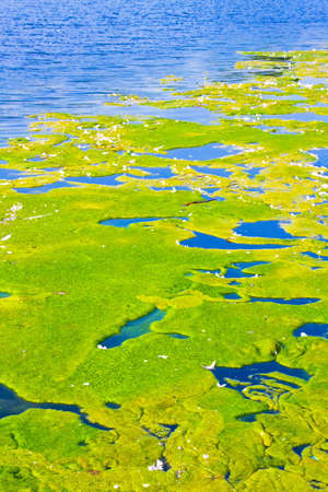 Very bad contaminated and polluted river waterの写真素材