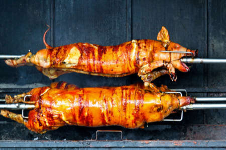 Three pigs rolling on the skewer while roasting
