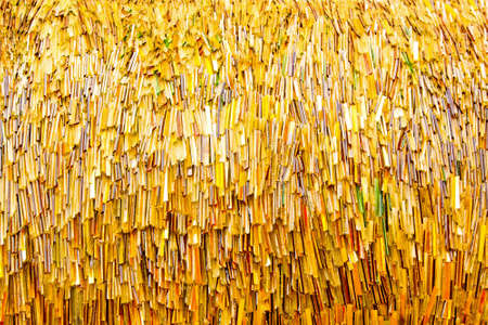 Background texture of a golden straw shapes