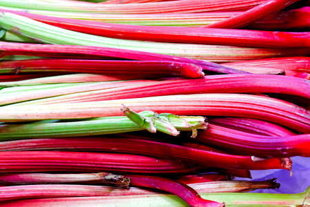 Fresh organic rhubarb vegetable on a marketの写真素材