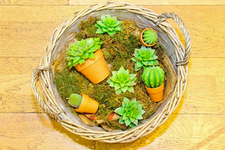 Cactus shape decorative candles in the basketの写真素材