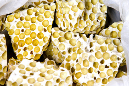 Broken parts of empty dried bees nest の写真素材