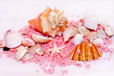 Sea shells summer decoration with pink stones の写真素材