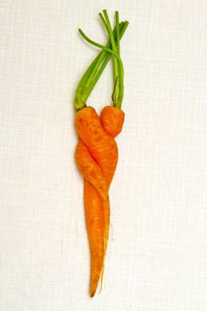 A pair of carrots in love pose conceptの写真素材