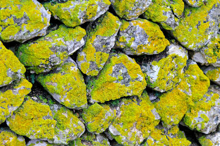 Very old stone wall covered with moss の写真素材