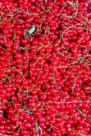 Close up shot of red currant at market の写真素材
