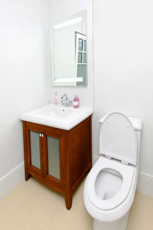 Retro style toilet interior with wooden cabinet 