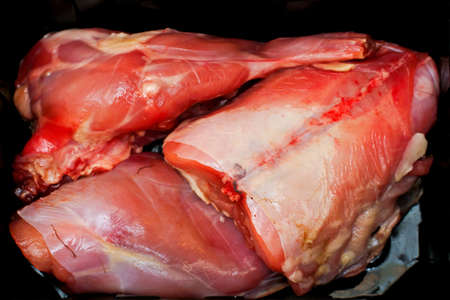 Fresh and wild rabbit meat prepared for cooking の写真素材