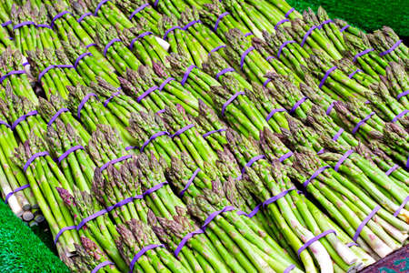 Big pile of freshly grown organic asparagus の写真素材