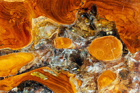 Unique wooden texture formed by years in nature の写真素材