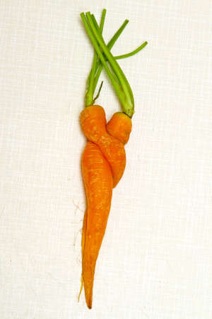 A pair of carrots in love pose concept