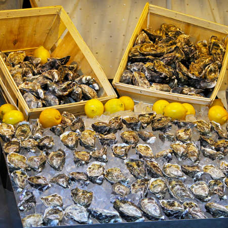 Fresh oyster shells kept on ice on market stallの写真素材