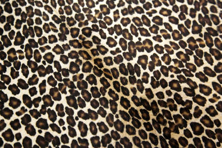 Safari style leopard hide pattern