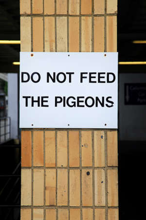 Do not feed the pigeons sign at pillarの写真素材