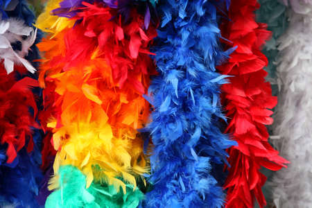 Bunch of decorative fashion feathers in rainbow colors