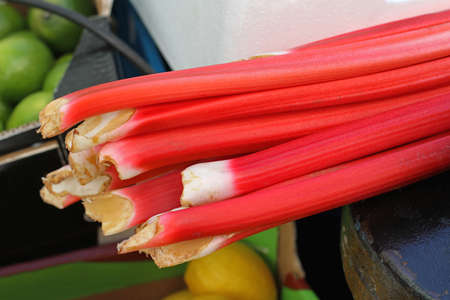 Fresh raw red rhubarb at farmers marketの写真素材