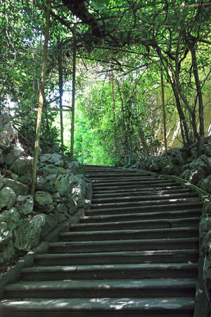 Stone stairway in old botanic green gardenの写真素材