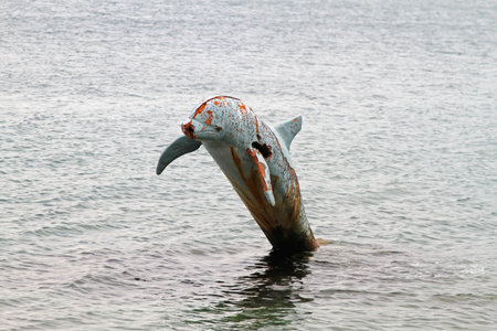 Rusty dolphin sculpture in Adriatic sea in Montenegroの写真素材